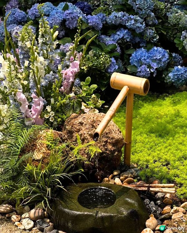 深圳繡球花庭園餐廳🌸設多種包廂、免費生日佈置🎂