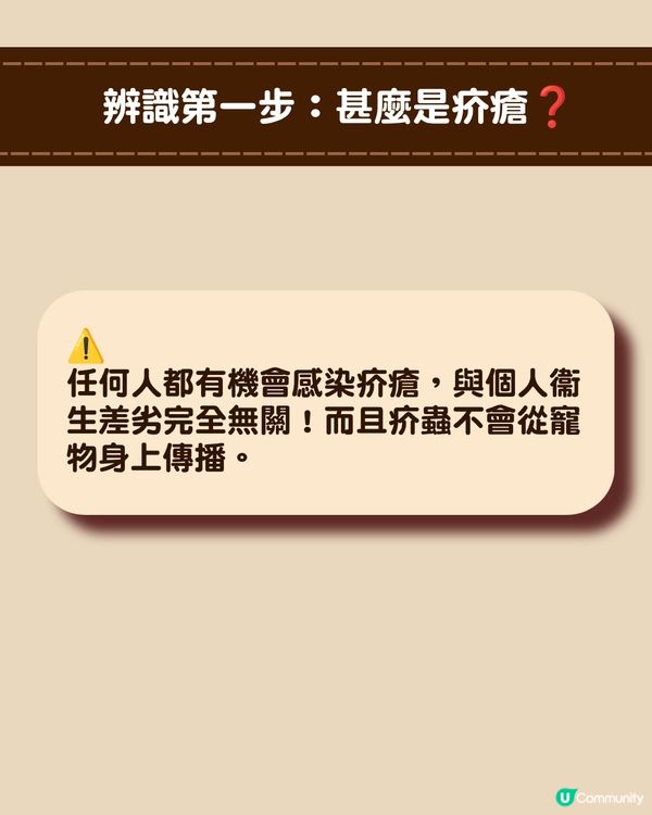 深圳現「疥瘡」感染個案🚨潛伏期無病徵照樣傳播！兩步辨識+治療消毒指南