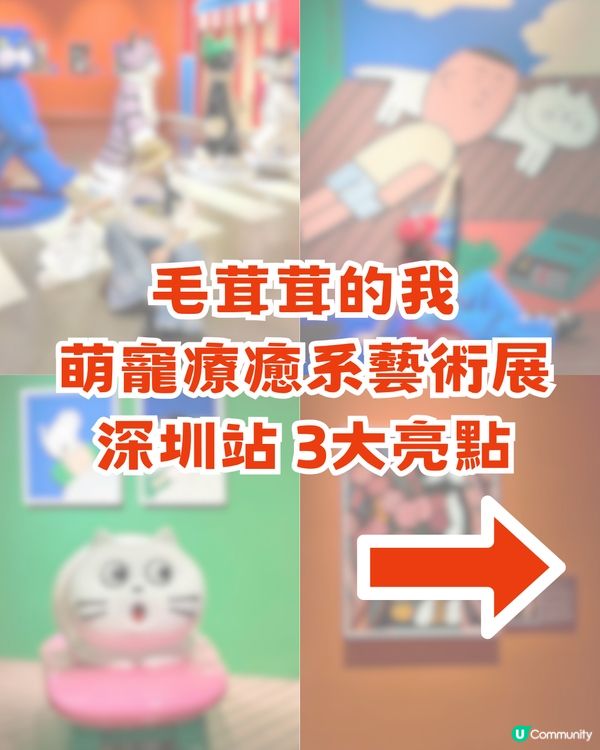 深圳福田區「萌寵治癒系」藝術展！三大亮點！5大打卡展區/光影沉浸區