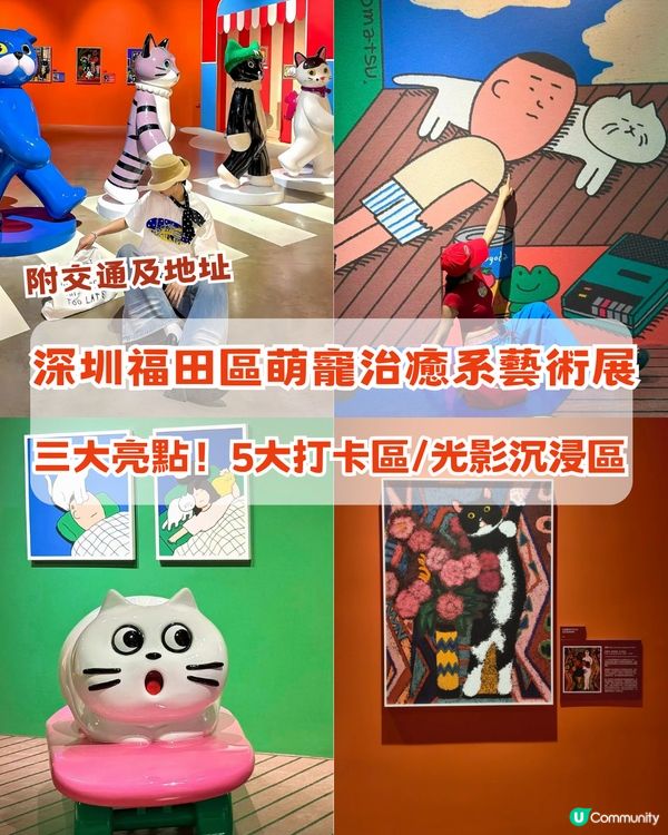 深圳福田區「萌寵治癒系」藝術展！三大亮點！5大打卡展區/光影沉浸區