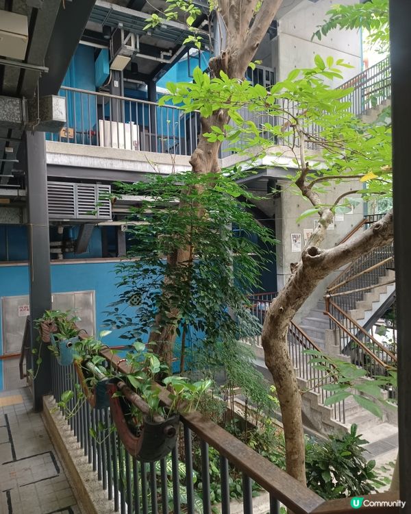 尋找城市的調色盤🎨🖌️