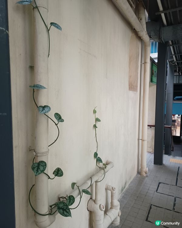 尋找城市的調色盤🎨🖌️