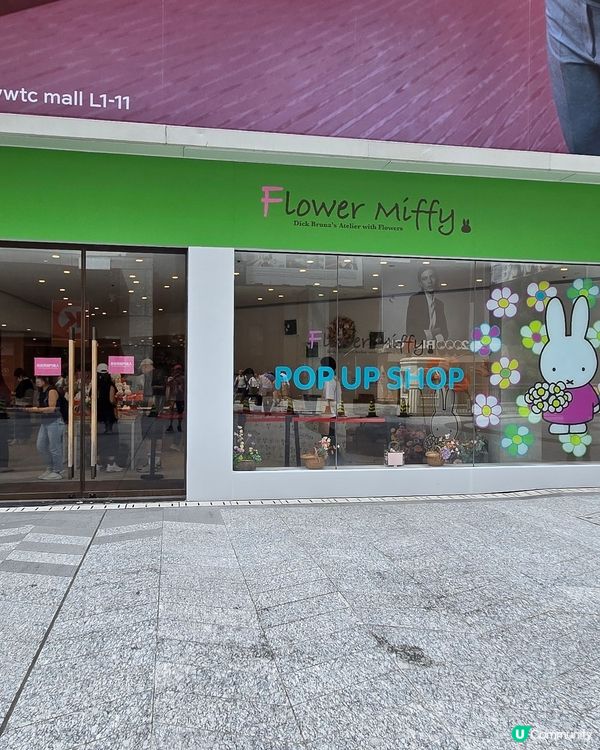 flower miffy pop up