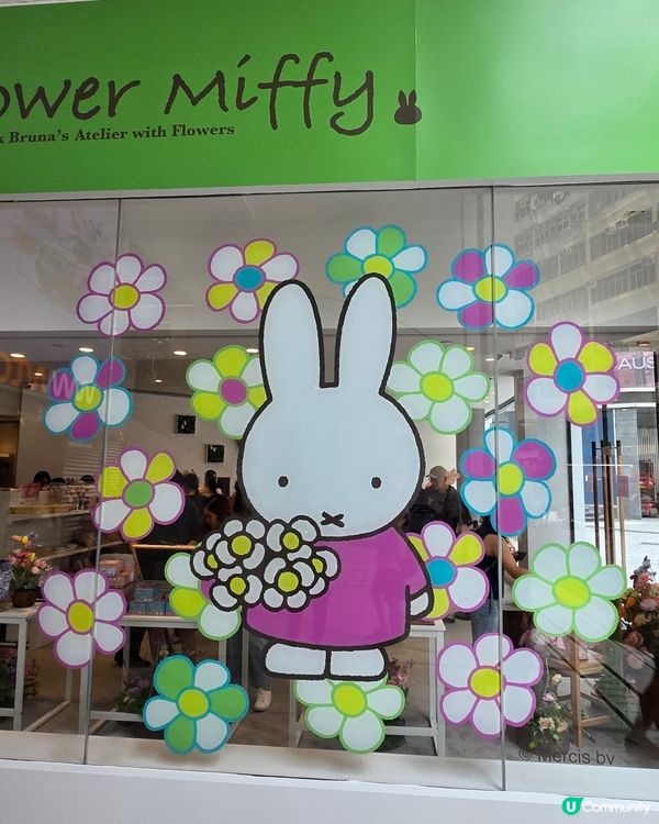 flower miffy pop up