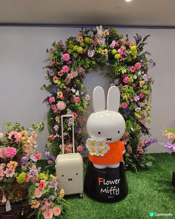 flower miffy pop up