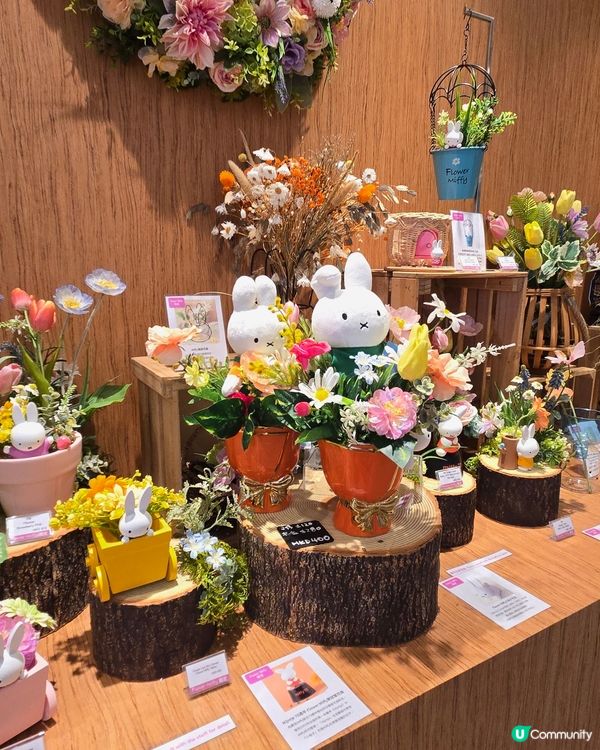 flower miffy pop up
