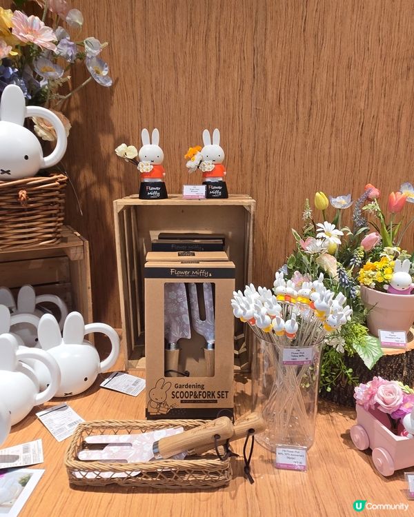 flower miffy pop up
