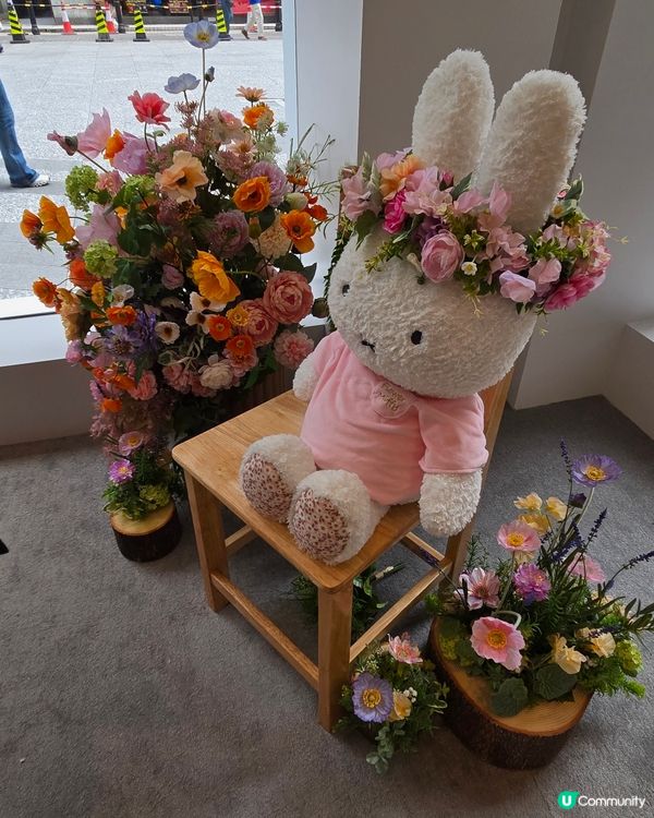 flower miffy pop up