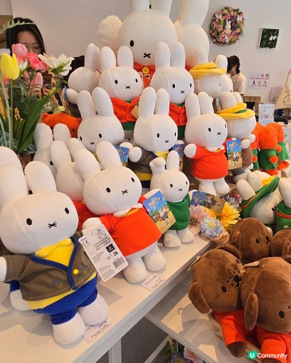 flower miffy pop up
