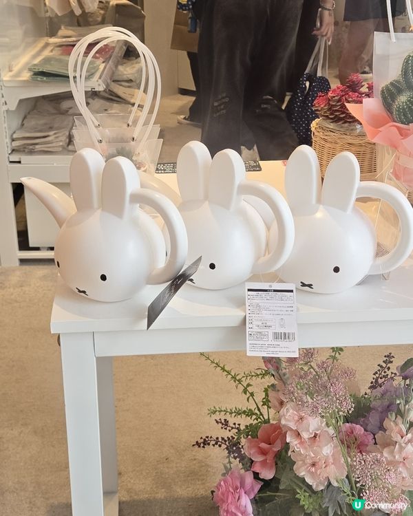 flower miffy pop up