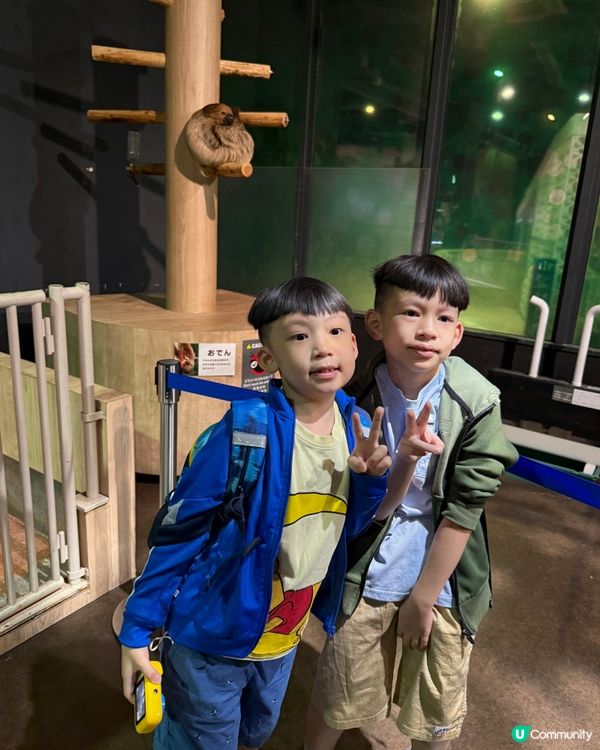 沖繩夏日親子遊🏖️水族館篇🐠🪼🐋