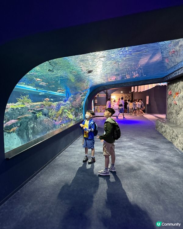 沖繩夏日親子遊🏖️水族館篇🐠🪼🐋