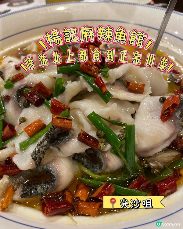 唔洗北上都食到正宗川菜🌶️