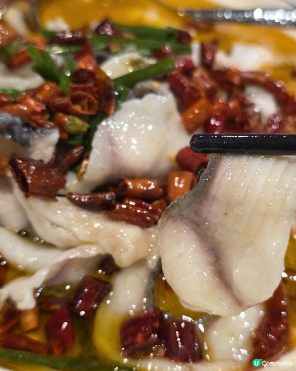 唔洗北上都食到正宗川菜🌶️