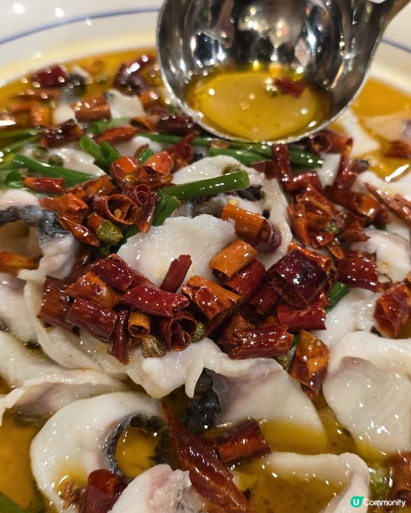 唔洗北上都食到正宗川菜🌶️
