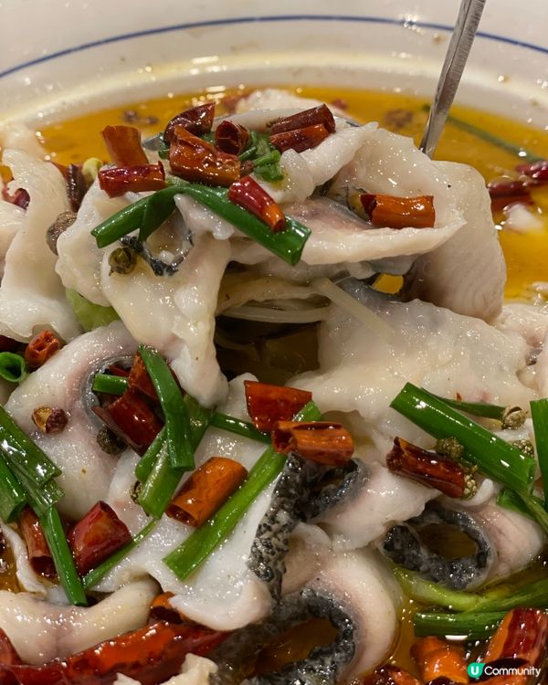 唔洗北上都食到正宗川菜🌶️