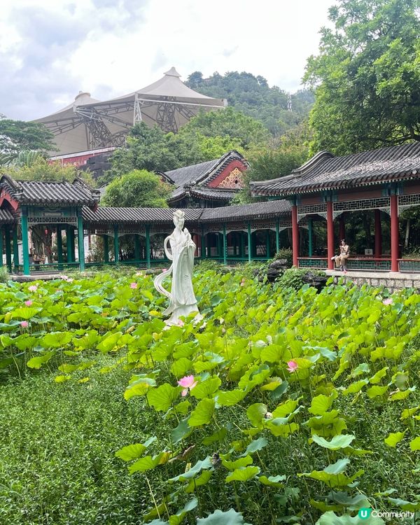 變身格格話咁易，唔洗坐飛機架