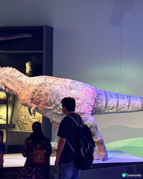 香港科學館免費探秘