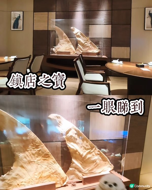 向叉燒致敬🥩 - 莫云