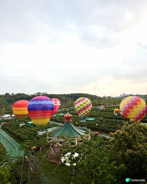 惠州羅浮山熱氣球茶園🎈