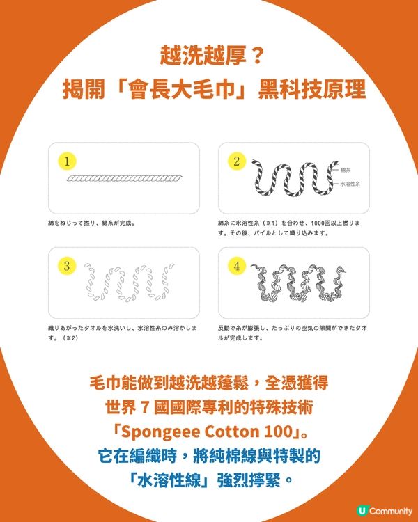 【東京高質手信】網民力推日本「會長大的神奇毛巾」：顛覆傳統、越洗越蓬鬆，體驗親手「培育毛巾」的療癒黑科技！