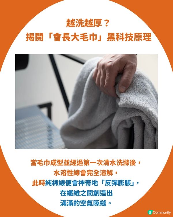 【東京高質手信】網民力推日本「會長大的神奇毛巾」：顛覆傳統、越洗越蓬鬆，體驗親手「培育毛巾」的療癒黑科技！