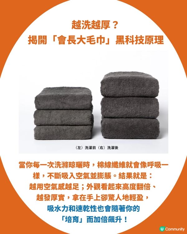 【東京高質手信】網民力推日本「會長大的神奇毛巾」：顛覆傳統、越洗越蓬鬆，體驗親手「培育毛巾」的療癒黑科技！