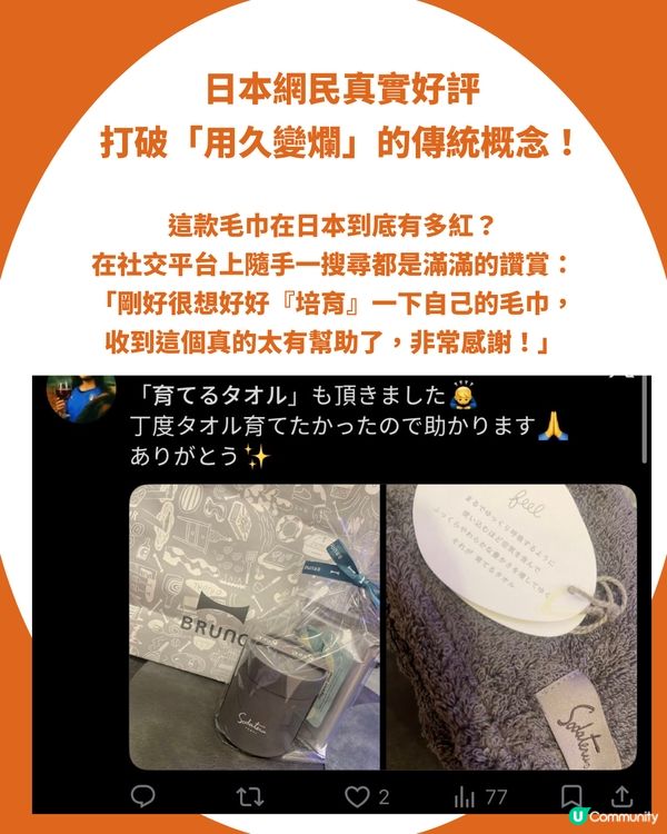 【東京高質手信】網民力推日本「會長大的神奇毛巾」：顛覆傳統、越洗越蓬鬆，體驗親手「培育毛巾」的療癒黑科技！