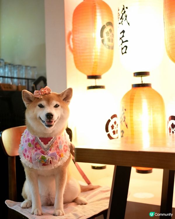 🎎室內寵物友善居酒屋🏮