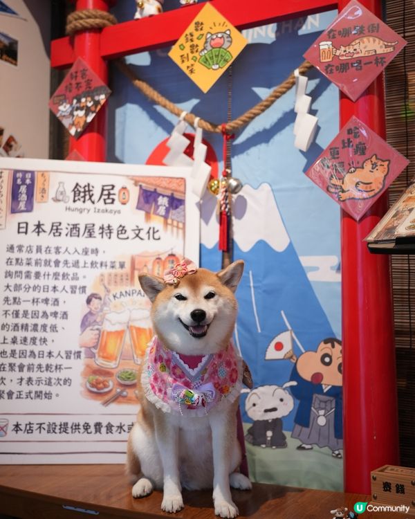 🎎室內寵物友善居酒屋🏮