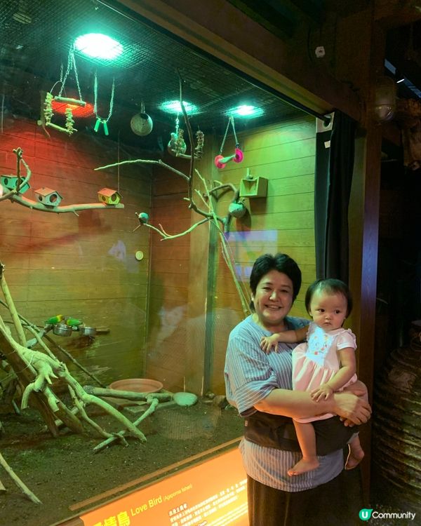 7.1囡囡一歲喇！挪亞方舟之旅👶🏻🥳
