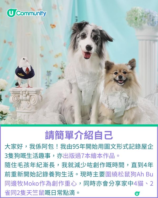 一千種非凡U Creator｜由繪本作家到內容創作者：11毛孩媽出盡法寶 定格愛寵萌爆日常