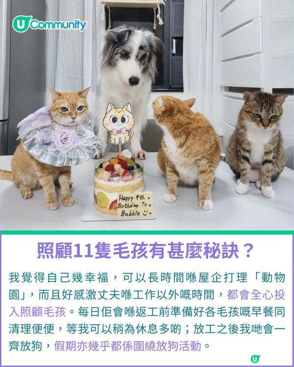 一千種非凡U Creator｜由繪本作家到內容創作者：11毛孩媽出盡法寶 定格愛寵萌爆日常