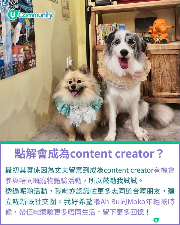 一千種非凡U Creator｜由繪本作家到內容創作者：11毛孩媽出盡法寶 定格愛寵萌爆日常