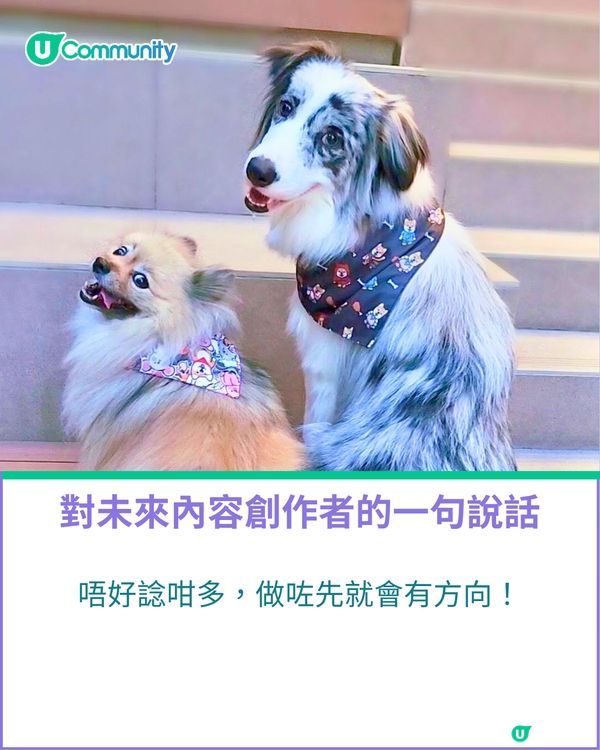 一千種非凡U Creator｜由繪本作家到內容創作者：11毛孩媽出盡法寶 定格愛寵萌爆日常