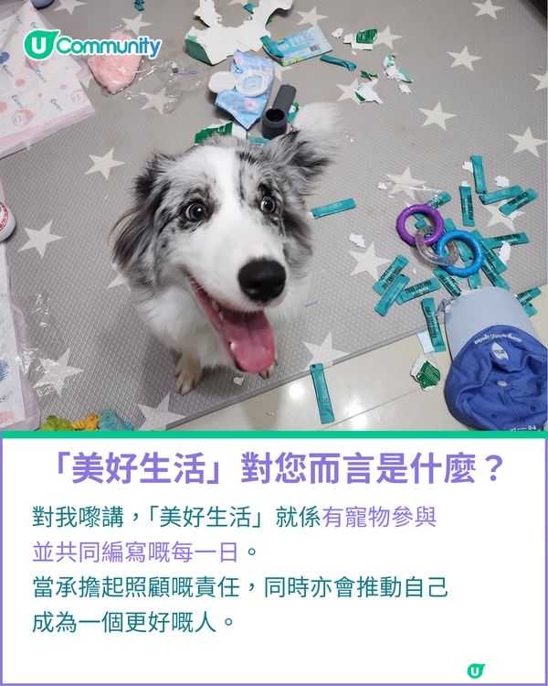 一千種非凡U Creator｜由繪本作家到內容創作者：11毛孩媽出盡法寶 定格愛寵萌爆日常