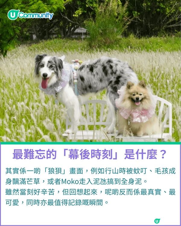 一千種非凡U Creator｜由繪本作家到內容創作者：11毛孩媽出盡法寶 定格愛寵萌爆日常
