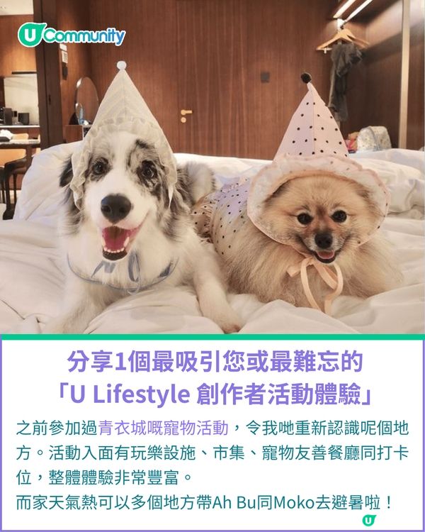一千種非凡U Creator｜由繪本作家到內容創作者：11毛孩媽出盡法寶 定格愛寵萌爆日常