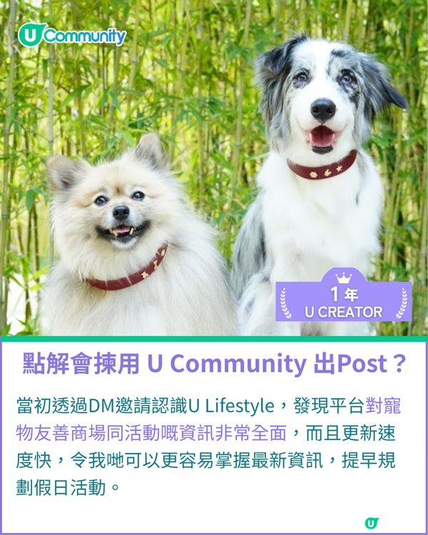 一千種非凡U Creator｜由繪本作家到內容創作者：11毛孩媽出盡法寶 定格愛寵萌爆日常