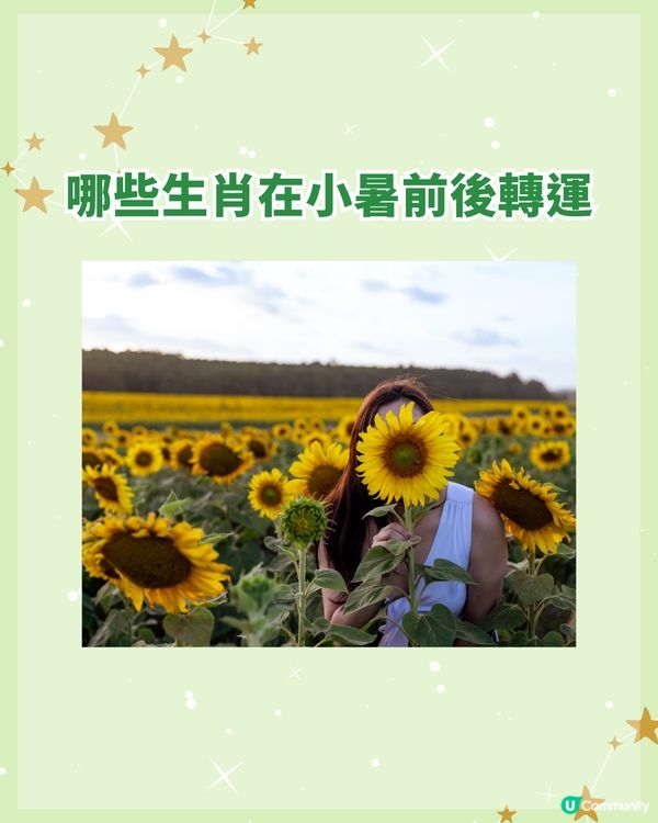 7/7-7/22小暑簡單3招聚財清心☀️銀包放「1物」助發達💰3生肖財運事業將逆襲
