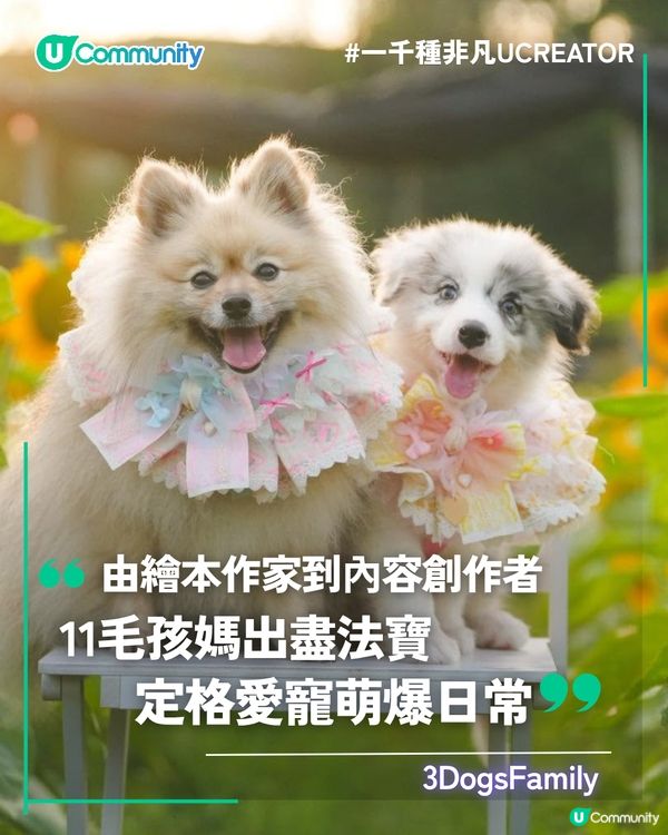 一千種非凡U Creator｜由繪本作家到內容創作者：11毛孩媽出盡法寶 定格愛寵萌爆日常