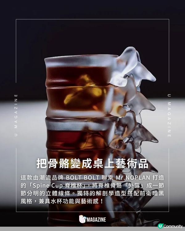 是水杯也是藝術品！全新「雙層防燙脊椎杯」                                                     