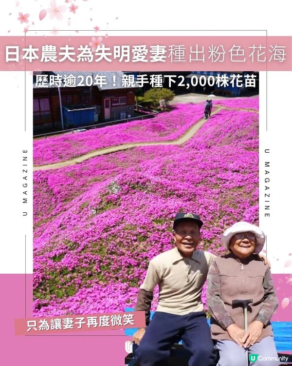 日本農夫為失明愛妻種出粉色花海｜ 歷時逾20年！親手種下2,000株花苗                                                    