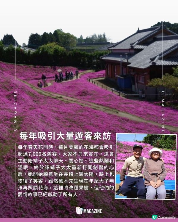 日本農夫為失明愛妻種出粉色花海｜ 歷時逾20年！親手種下2,000株花苗                                                    
