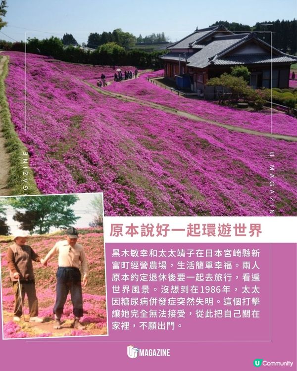 日本農夫為失明愛妻種出粉色花海｜ 歷時逾20年！親手種下2,000株花苗                                                    