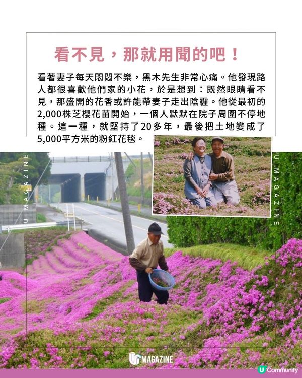 日本農夫為失明愛妻種出粉色花海｜ 歷時逾20年！親手種下2,000株花苗                                                    
