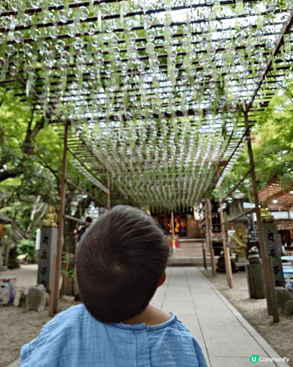 拍攝於褔岡如意輪寺。微風吹拂，無數風鈴被吹得響片全個寺廟。不...