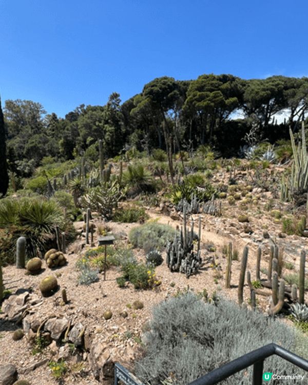 西班牙🇪🇸巴塞薩拿近郊有個好熱門打卡嘅植物園，我地自駕個零鐘...