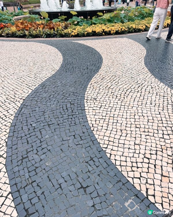 澳門世遺輕鬆行 🚶‍♀️🌸