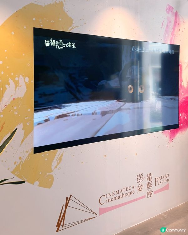 澳門戀愛巷電影館遊攻略🎬 七月戀愛睇戲必去！🎥❤️